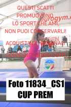 11834_CS1-CUP-PREM