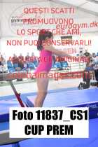 11837_CS1-CUP-PREM