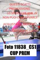 11838_CS1-CUP-PREM