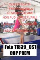 11839_CS1-CUP-PREM
