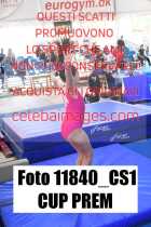 11840_CS1-CUP-PREM