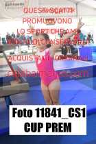 11841_CS1-CUP-PREM