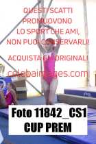 11842_CS1-CUP-PREM