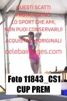 11843_CS1-CUP-PREM