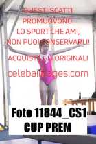 11844_CS1-CUP-PREM