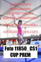 11850_CS1-CUP-PREM