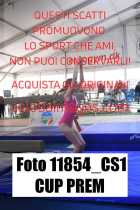 11854_CS1-CUP-PREM