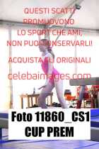 11860_CS1-CUP-PREM