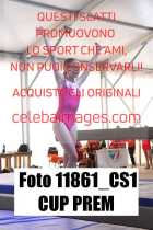 11861_CS1-CUP-PREM