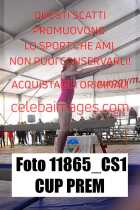 11865_CS1-CUP-PREM