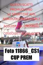 11866_CS1-CUP-PREM