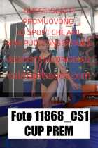 11868_CS1-CUP-PREM