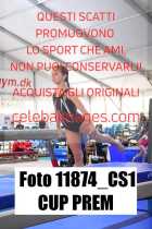 11874_CS1-CUP-PREM