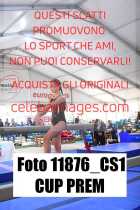 11876_CS1-CUP-PREM