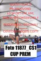 11877_CS1-CUP-PREM