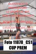 11878_CS1-CUP-PREM