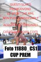 11880_CS1-CUP-PREM