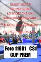 11881_CS1-CUP-PREM
