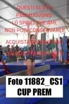 11882_CS1-CUP-PREM
