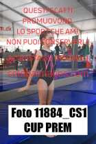 11884_CS1-CUP-PREM