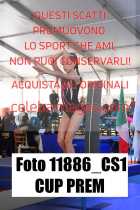 11886_CS1-CUP-PREM