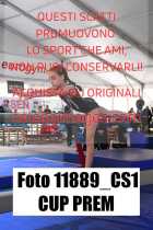 11889_CS1-CUP-PREM