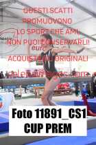 11891_CS1-CUP-PREM