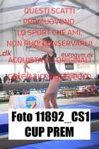 11892_CS1-CUP-PREM