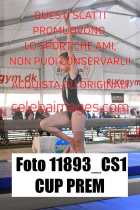 11893_CS1-CUP-PREM
