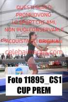 11895_CS1-CUP-PREM