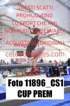 11896_CS1-CUP-PREM