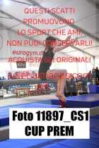 11897_CS1-CUP-PREM