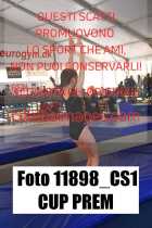 11898_CS1-CUP-PREM
