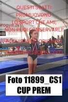 11899_CS1-CUP-PREM