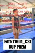 11901_CS1-CUP-PREM