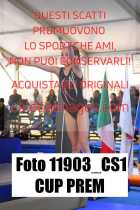 11903_CS1-CUP-PREM