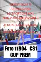 11904_CS1-CUP-PREM