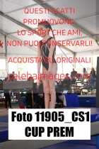 11905_CS1-CUP-PREM
