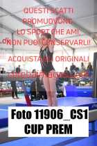 11906_CS1-CUP-PREM