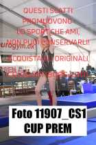 11907_CS1-CUP-PREM
