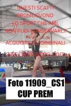 11909_CS1-CUP-PREM