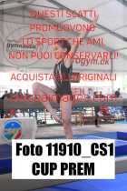 11910_CS1-CUP-PREM