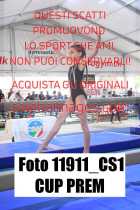 11911_CS1-CUP-PREM