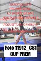 11912_CS1-CUP-PREM