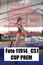 11914_CS1-CUP-PREM