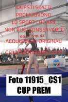 11915_CS1-CUP-PREM