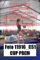 11916_CS1-CUP-PREM