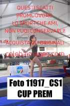 11917_CS1-CUP-PREM