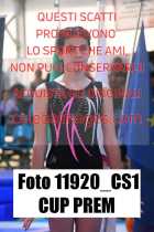11920_CS1-CUP-PREM