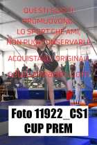 11922_CS1-CUP-PREM